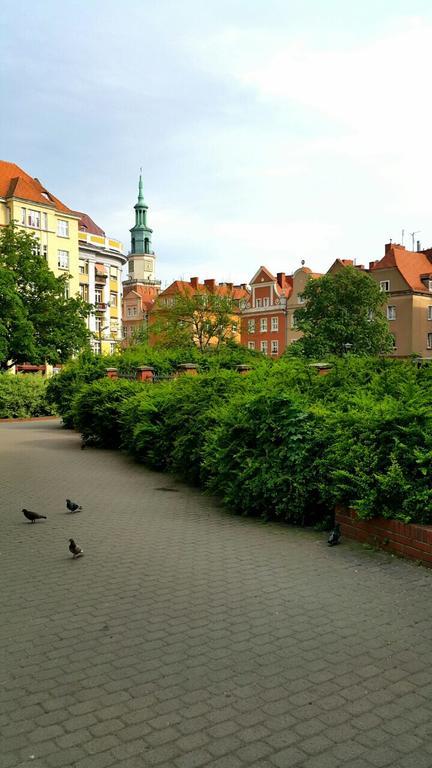 Bluegrayorange Daire Poznan Dış mekan fotoğraf